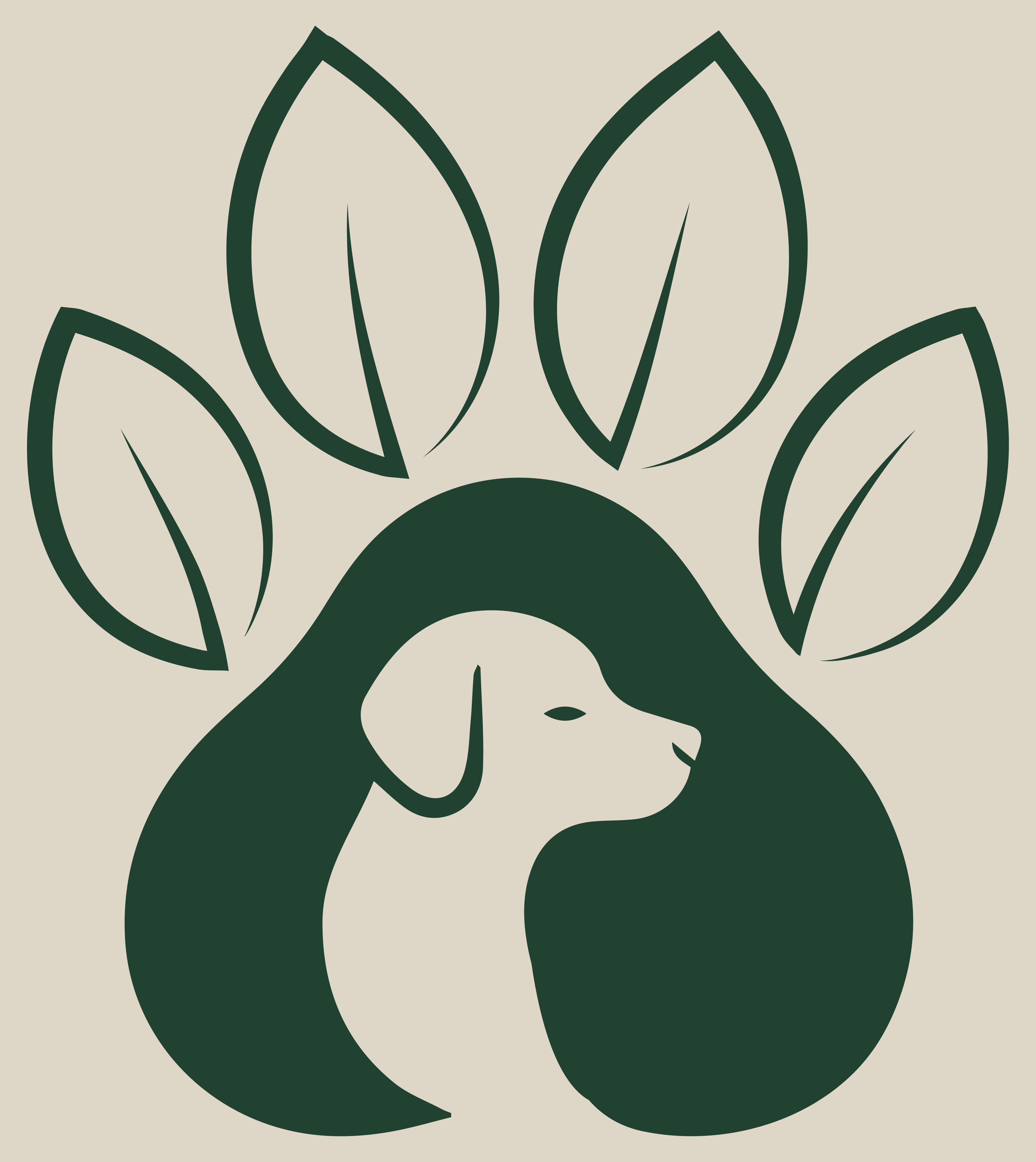 CanisVita Tierphysiotherapie & Tierheilpraktik Verena Berg Logo