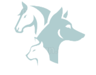 HUF UND PFOTE DEM TIER ZULIEBE Logo