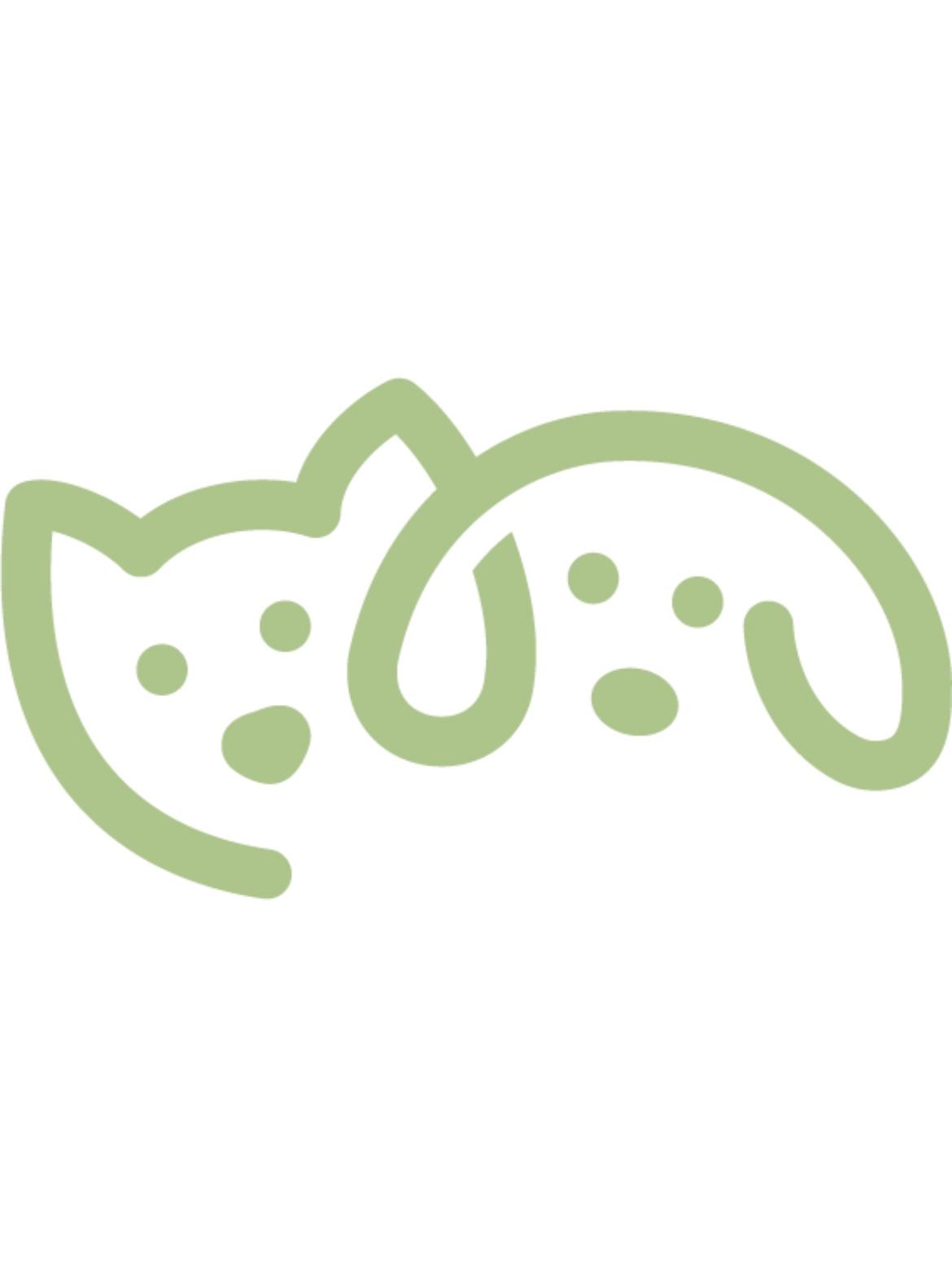 Hannah Aldea Logo