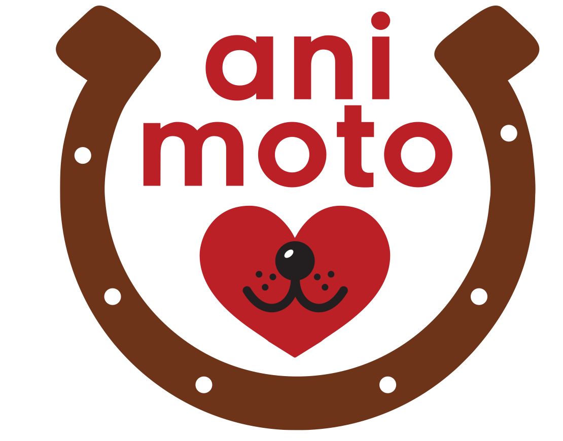 ani moto Tierphysiotherapie & Tierheilpraktik Irene Unger Logo