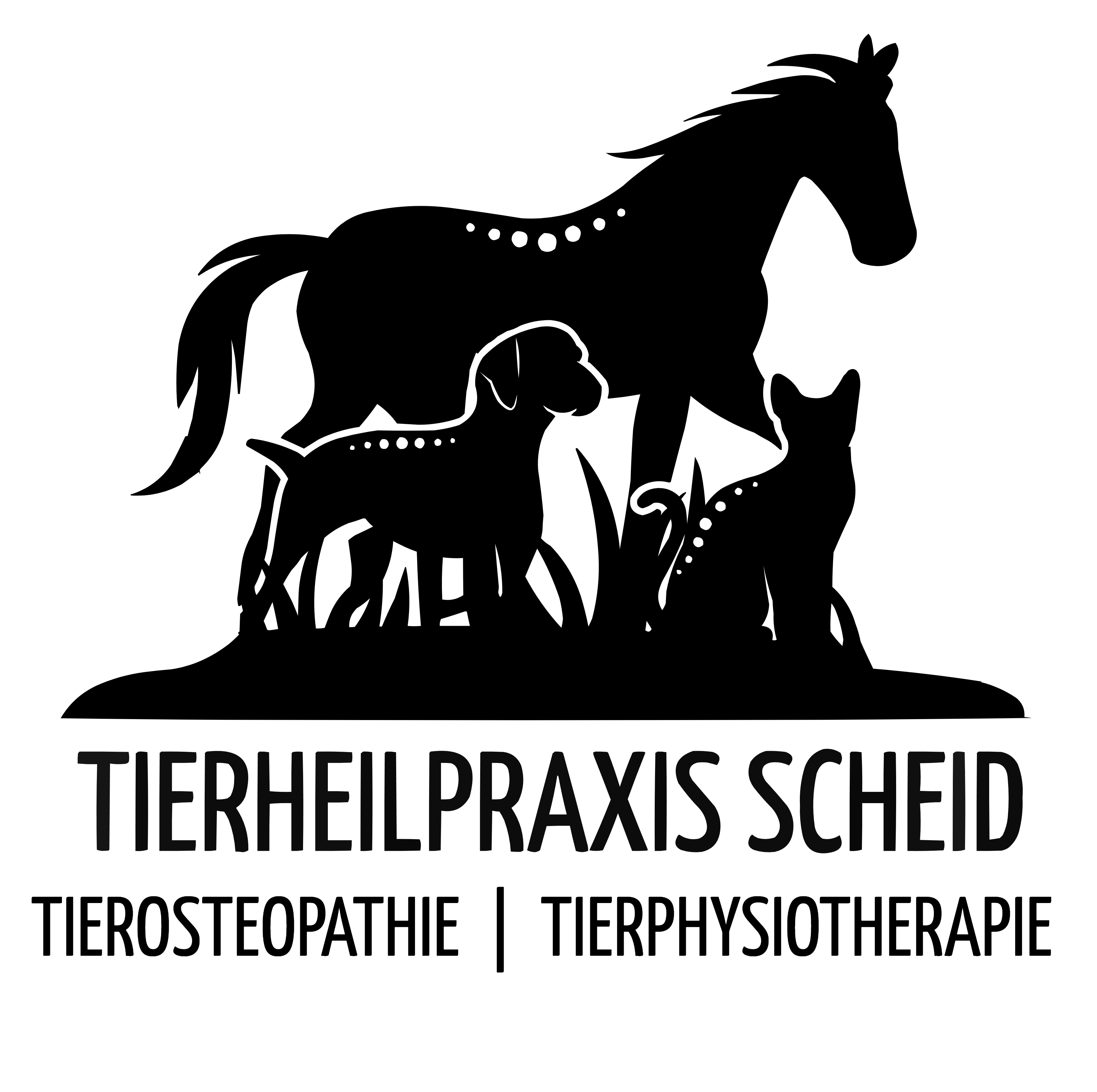 Tierheilpraxis Scheid Logo