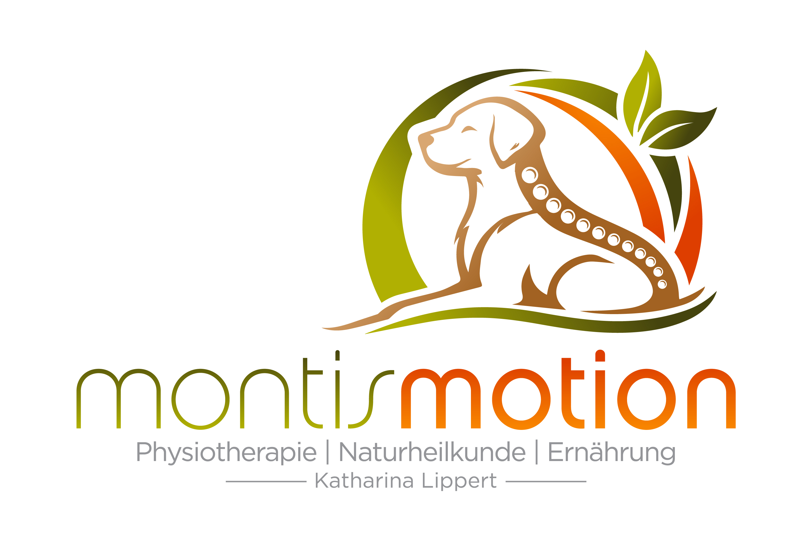 montismotion Logo