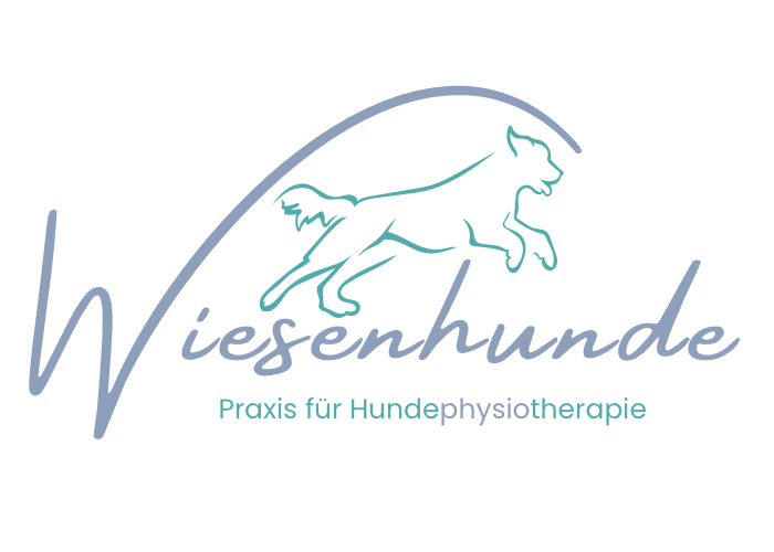 Nina Wiese Logo