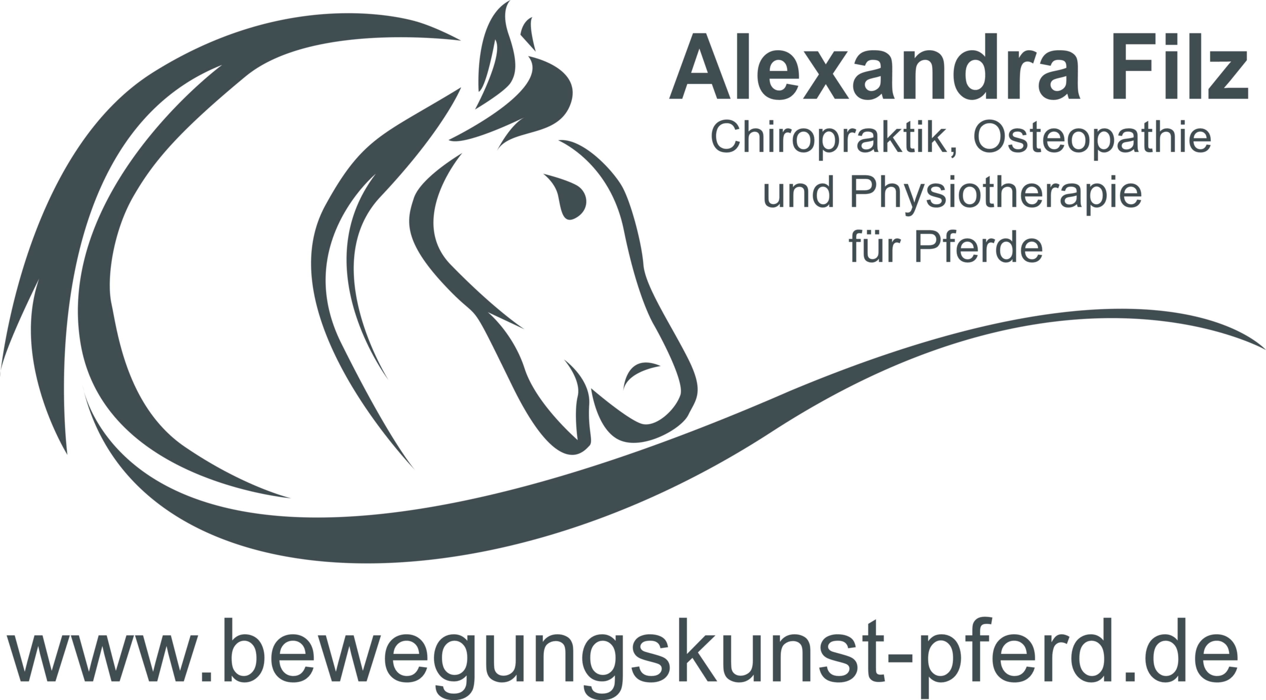 Alexandra Filz Logo