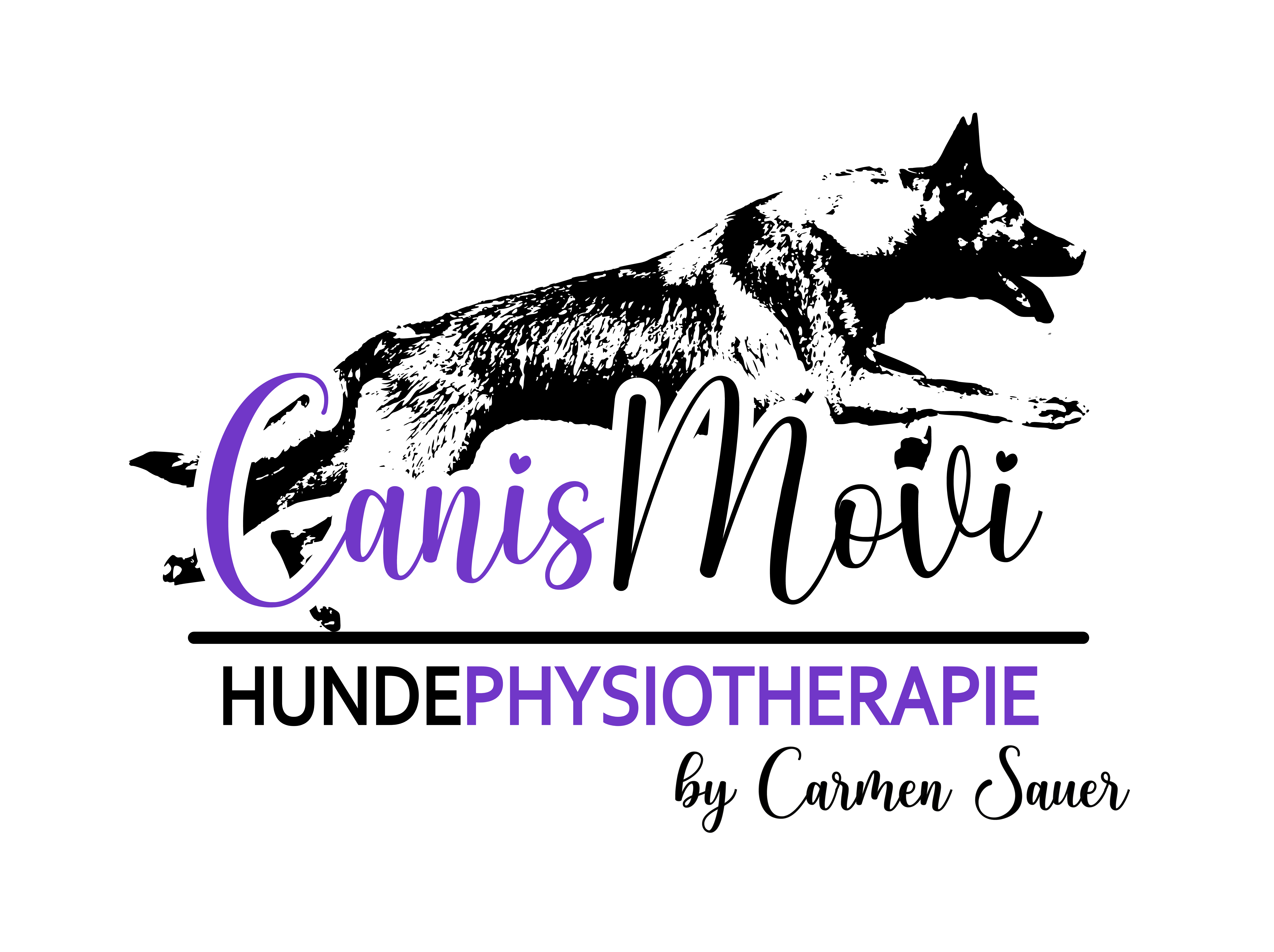 CanisMovi-HundePhysiotherapie Carmen Sauer Logo
