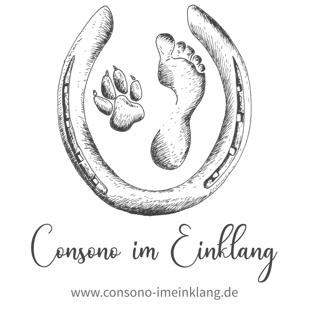 Consono im Einklang Logo