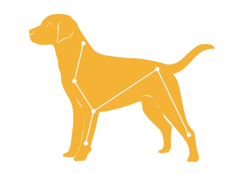 Hundekrankengymnastik Wesel Logo