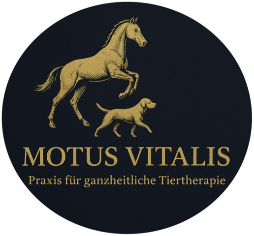 Praxis MotusVitalis Logo