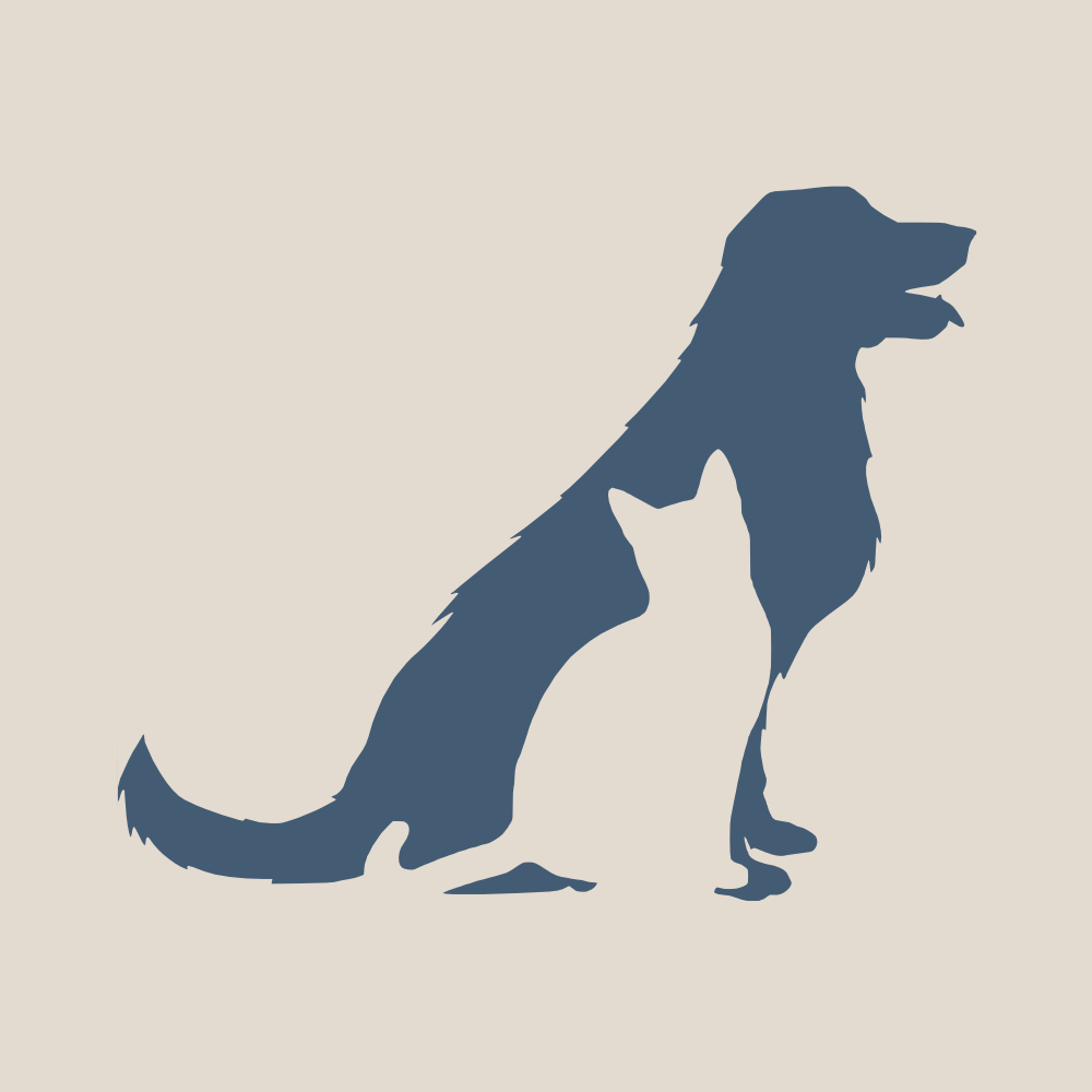 Isabelle Magunia Logo