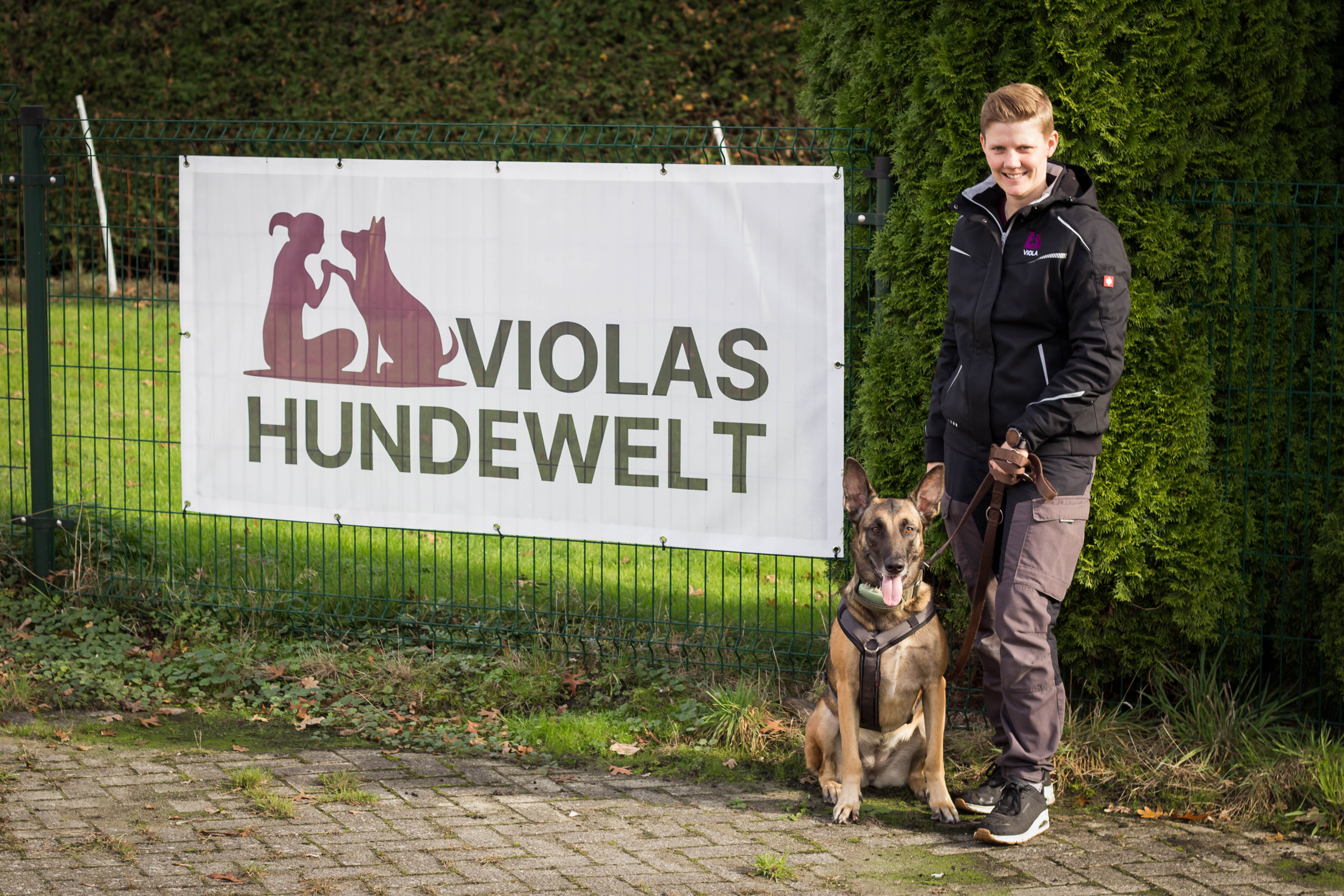 Tiertherapie Viola Sommerfeld Logo