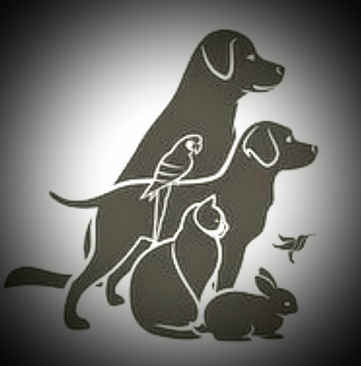 Tiertherapie und Heilkunde PetVital Logo